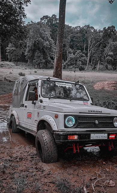 為比賽的分 為比賽的分