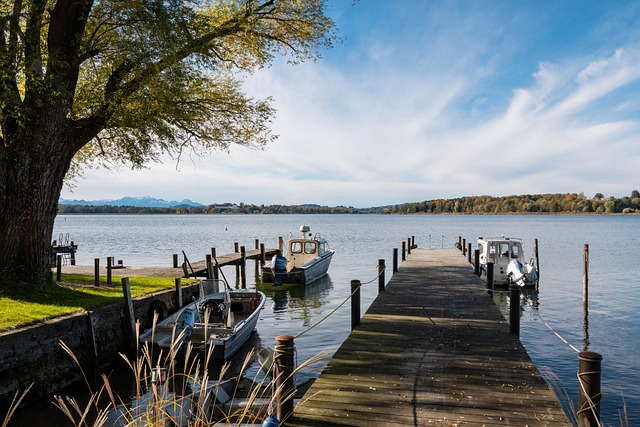 还需要在内 还需要在内