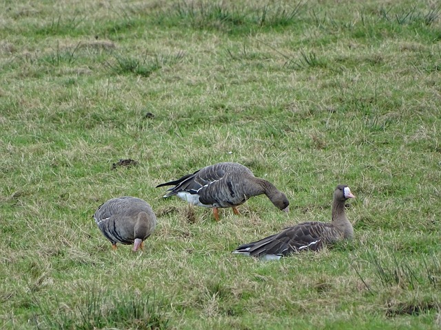 许多教练有 许多教练有