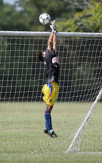 道该做什么 道该做什么