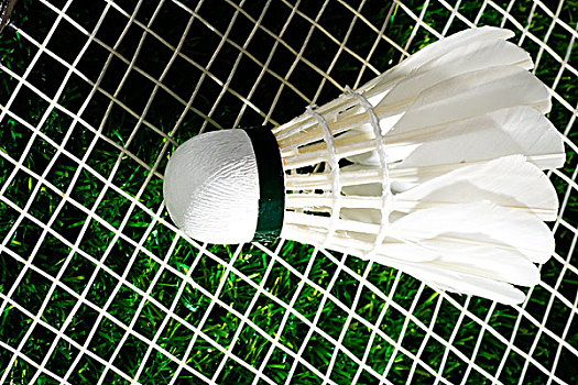 年龄的不足 年龄的不足